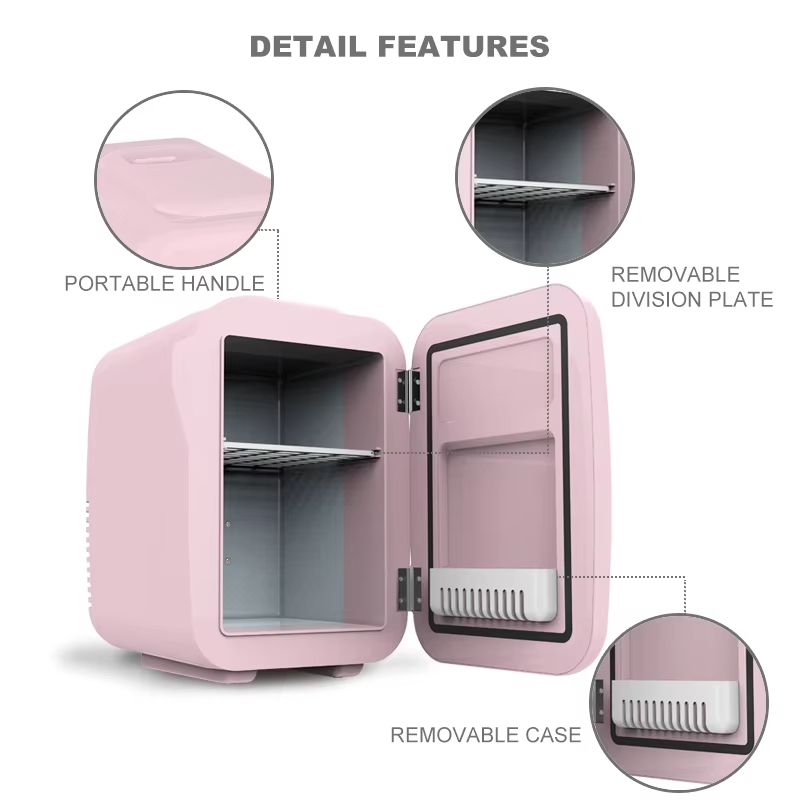 Good Price Portable Car Mini F - đánh giá và giá Beauty Makeup Fridge