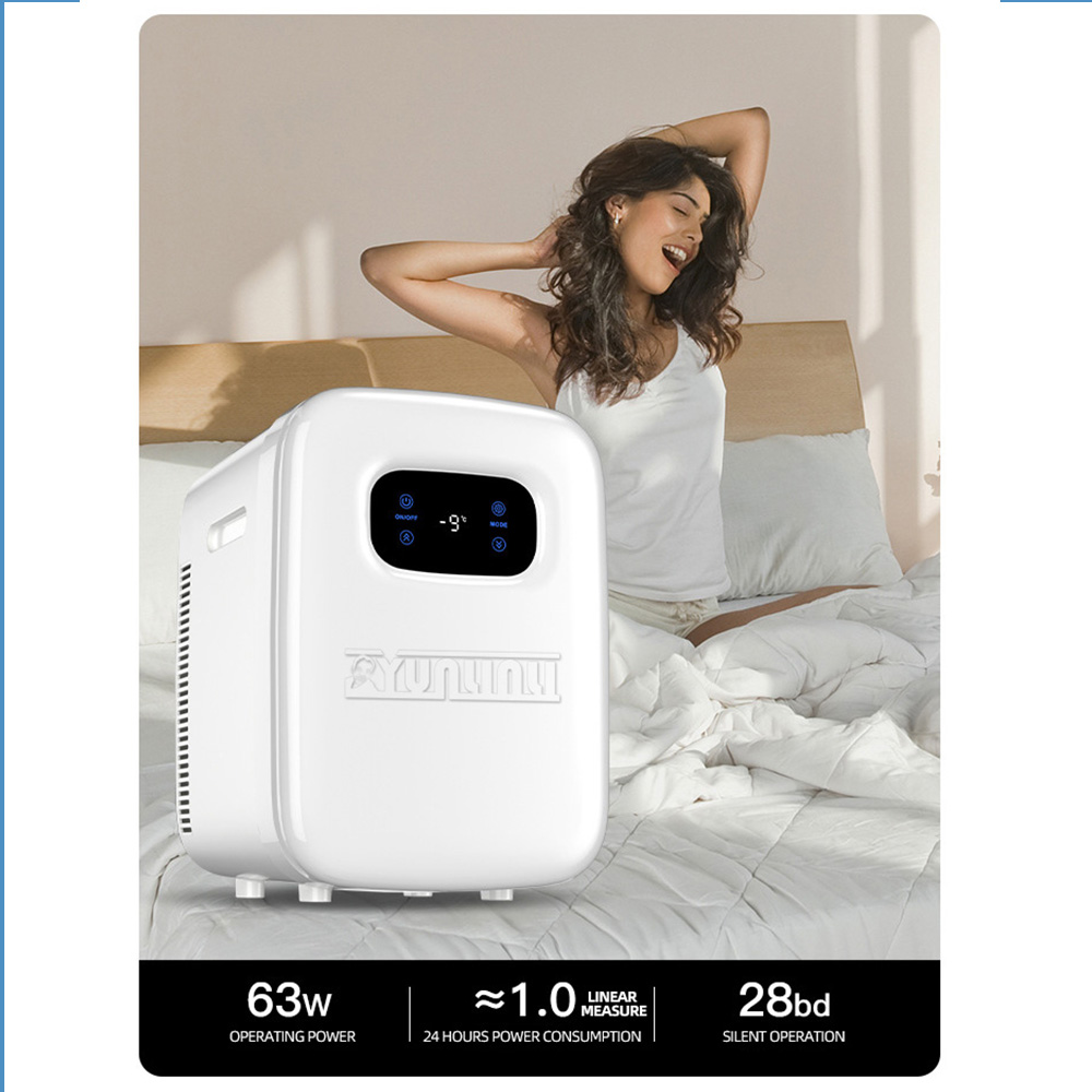 20L Car Refrigerator Portable  - đánh giá và giá Beauty Makeup Fridge