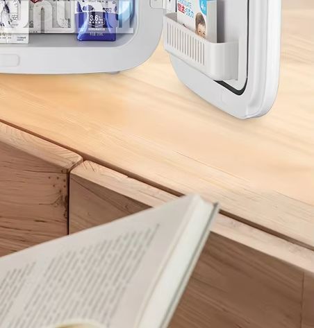 20L Portable Refrigerator Mult - đánh giá và giá Beauty Makeup Fridge