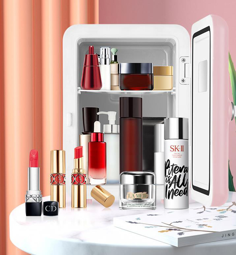 Dual-Use 4L Home Car Use Refri - đánh giá và giá Beauty Makeup Fridge