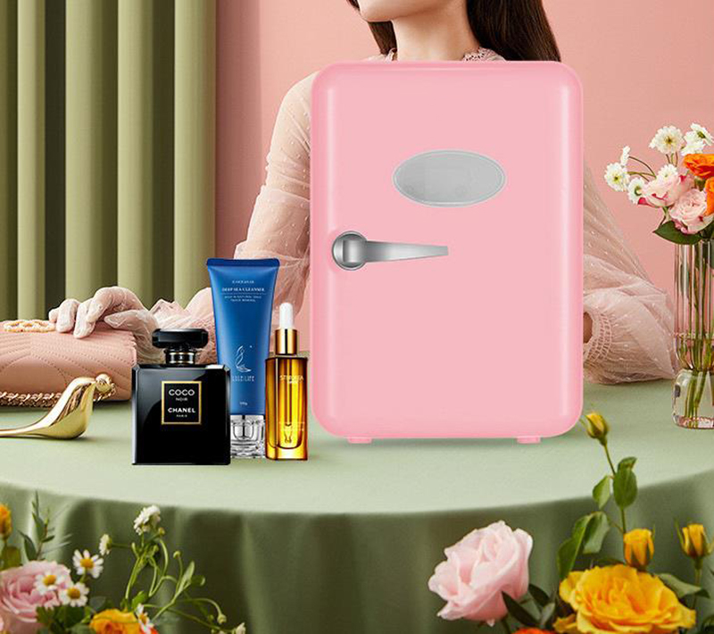 Dual-Use 4L Home Car Use Refri - đánh giá và giá Beauty Makeup Fridge