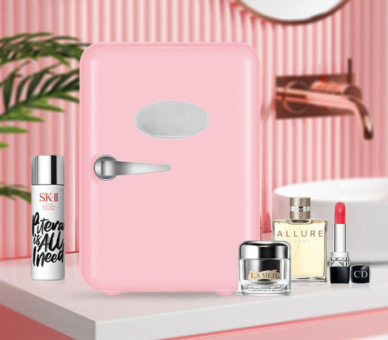 Dual-Use 4L Home Car Use Refri - đánh giá và giá Beauty Makeup Fridge